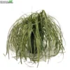 Carex 'Feather Falls' 5 Liter Pot 1 Carex 'Feather Falls' 5 Liter Pot -Goedkope Tuin Prachtig Winkel carex feather falls 5 liter pot 600x600 62077c23077f1 l