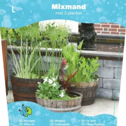 Mix Mand Met 3 Waterplanten 5 Mix Mand Met 3 Waterplanten -Goedkope Tuin Prachtig Winkel mix mand met 3 waterplanten 698x800 640b3993c3540 l