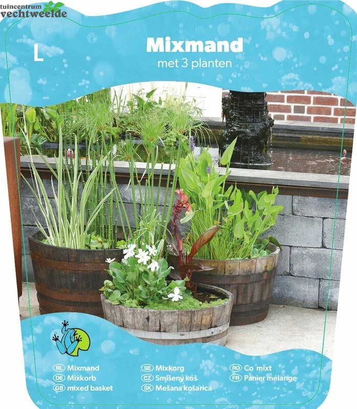 Mix Mand Met 3 Waterplanten 4 Mix Mand Met 3 Waterplanten - Afbeelding 2