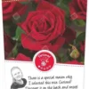 Rosa Miss Schweiz C3RP -Goedkope Tuin Prachtig Winkel rosa miss schweiz c3rp 500x1100 6207723e909f6 l