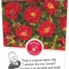 Rosa Rambling Rosie Stok100 C3RP -Goedkope Tuin Prachtig Winkel rosa rambling rosie stok100 c3rp 500x1100 620771b8ae30e l