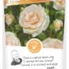 Rosa 'Sweet Honey'® -Goedkope Tuin Prachtig Winkel rosa sweet honey 329x683 640b1dbfd010c l
